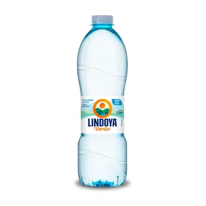 Água Mineral Lindoya Verão Sem Gás 510ml