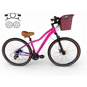 Bicicleta Aro 29 Feminina Absolute Hera Retrô Vintage 21v Hidráulica Selim Confortável Cesta Rosa-lilas Tamano 15