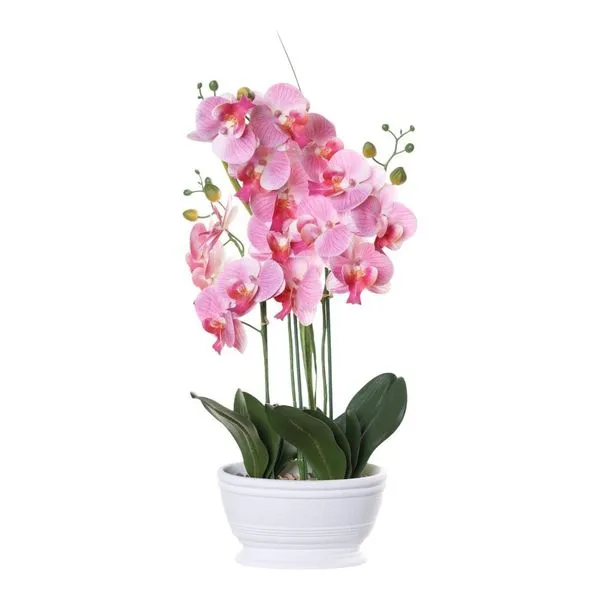 Orquídea Decorativa Concepts Life Rosa 456-472252