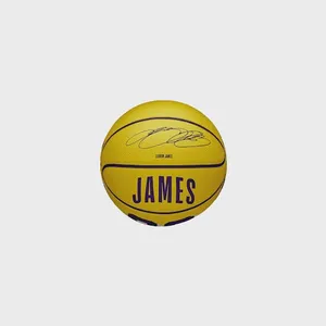 Mini Bola de Basquete NBA Icon Lebron James