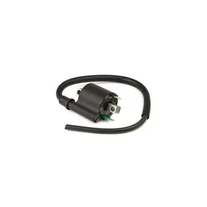 Bobina Ignicao Fan 125 90202750 Magnetron Bobina Ignicao Fan 125 90202750 Magnetron