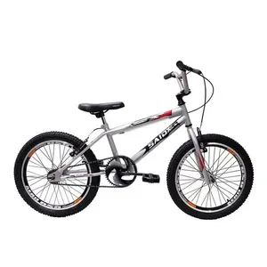 Bicicleta Aro 20 Bike Bmx Cross Freestyle Infantil Saidx Prata