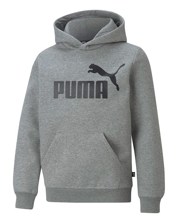 Blusão Puma Essentials Big Logo Infantil - 5 anos