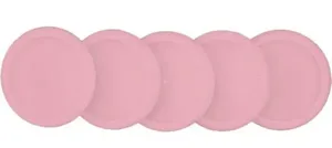 Discos Com Elástico Grande Rosa Sertão Para Caderno Inteligente