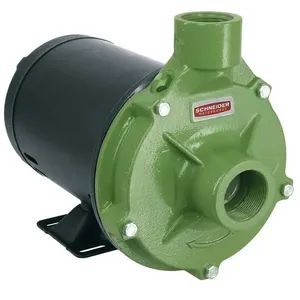 Motobomba 0,75CV Mono 127/220 Volts Centrif 1.1/2"x1" -SCHNEIDER