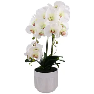 Orquídea Decorativa Concepts Life 60cm 567-90003