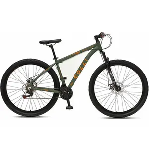Bicicleta Collina Aro 29 Freio a Disco Quadro 17 Polegadas Colli Verde