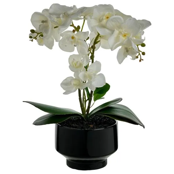 Orquídea com Vaso Decorativo Concepts Life Branco 449-3710010