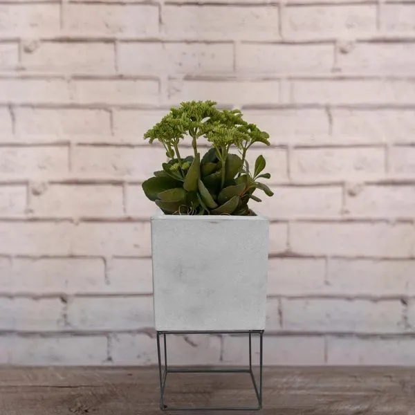 Vaso Decorativo Vsart Cubo Antique Cimento 60x60cm