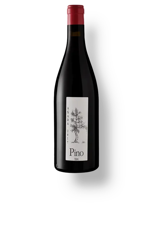 Ponce Pino