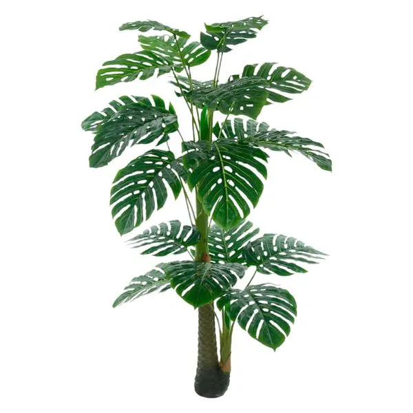Costela de Adão Artificial Florarte Realista (MP)