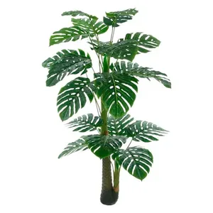 Costela de Adão Artificial Florarte Realista (MP)