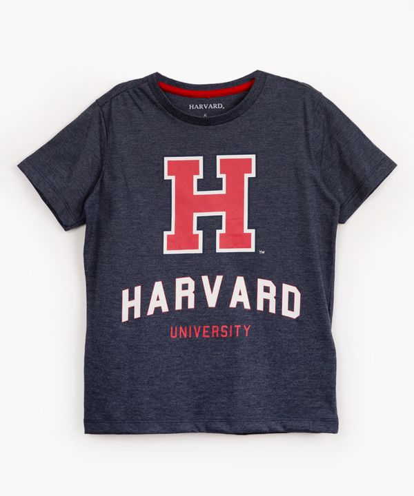 camiseta infantil havard manga curta azul marinho 8