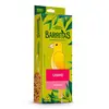 Bastão de Sementes Barritas Canário Zootekna 70g