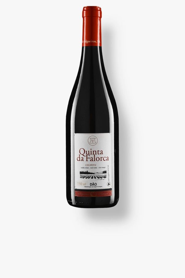 Quinta da Falorca Colheita Selecionada