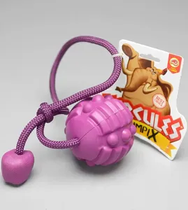 Bola Petisco com Corda OlimpiX Hércules Roxo Roxo