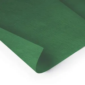 Papel Crepom Mais Verde Bandeira Rolo 48cm X 2 Metros 030011 - Ridet