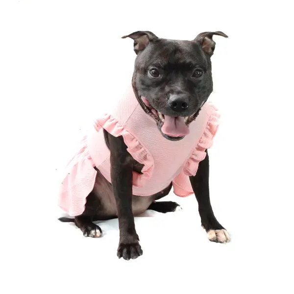 Vestido Fadinha Bichinho Chic Rosa PP