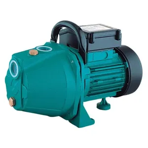 Bomba Auto Aspirante 3/4CV Lepono XKJ600 220V