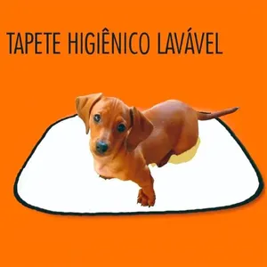 Tapete Higiênico M 60x70cm 7133 - Sleep Easy