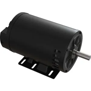 Motor Trisáfico 1CV 4Polos 220/380V P-21 com Carcaça N56 60HZ - NOVA
