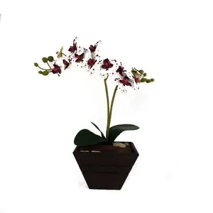 Vaso MDF Orquídea 1 Arranjo Flores Tigrada Sortido Tamanho G DF02 - Dila Flores