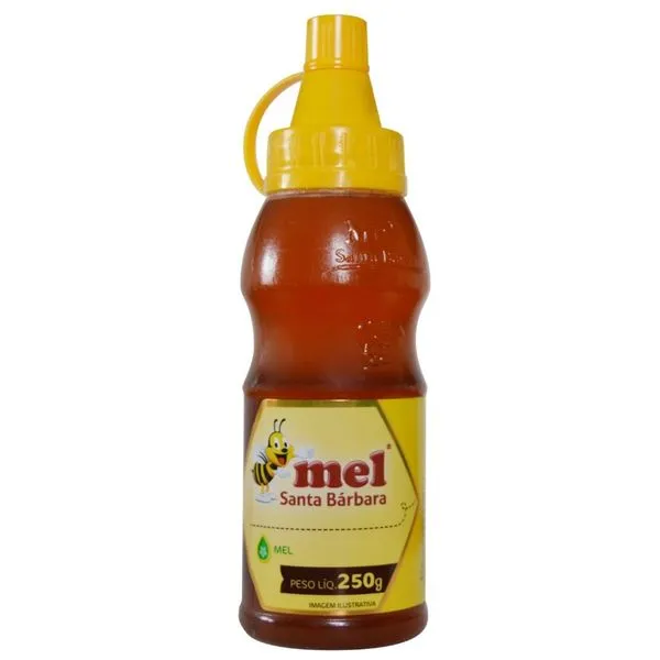 Mel Santa Bárbara Silvestre Bisnaga 250g