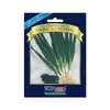 Sementes de Cebolinha Todo Ano Nebuka Blue Line Topseed Garden Único