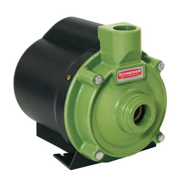 Bomba perifèrica/motobomba 3/4 cv 220 V~ BCR-2010 - SCHNEIDER