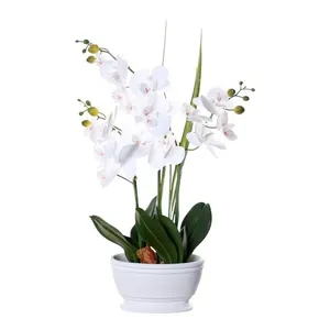 Orquídea Decorativa Concepts Life Branco 456-472243