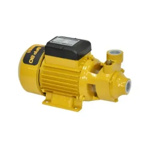 Bomba Elétrica Periférica Bfp 80 Mono Bivolt Buffalo 80371