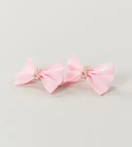 Bico de Pato Laço e Florzinha Rosa com 2 unidades Rosa
