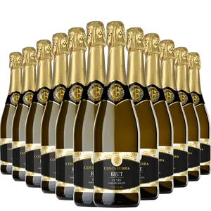 Kit 12 Garrafas Espumante Costa Furra Brut