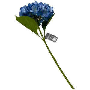 Planta Artificial Decorativa Concepts 456-512572