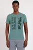 Camiseta Manga Curta Folha Degradê Verde - M
