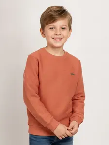 Moletom Infantil Para Menino - TELHA 4