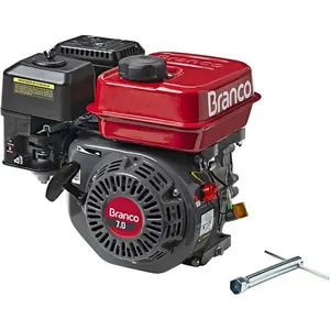 Motor a gasolina 7,0 hp 4 tempos sem alerta de óleo B4T-7.0 BRANCO