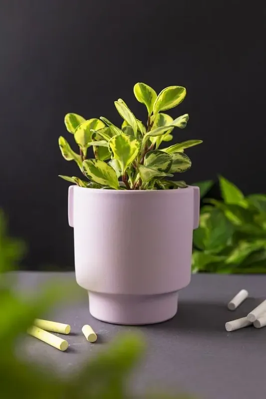 Vaso Fosco Lilás M