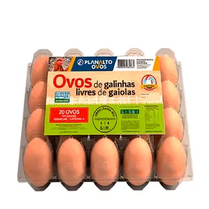 Ovos Vermelhos Grandes Planalto - 20 un