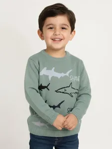Blusão Tricot Estampado Infantil Para Menino- VERDE 3