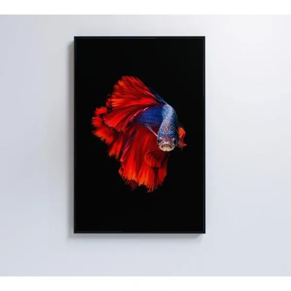 Quadro Peixe Beta Azul E Vermelho 40x60 Cm Tecido Canvas