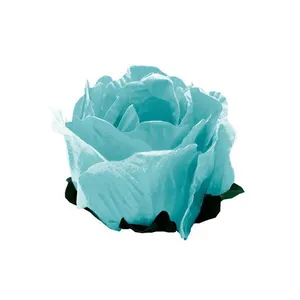 Forminha Clariju Maly Azul Claro com 24 Unidades