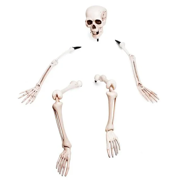 Decoração Halloween Casa e Jardim Esqueleto Humano Tamanho Real em Partes Com Estaca para Enterrar -