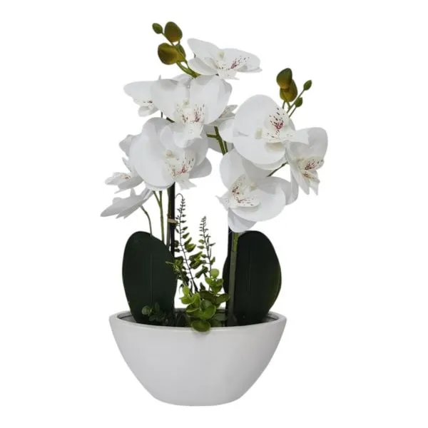 Orquídea Decorativa Concepts Life Branco 456-472247