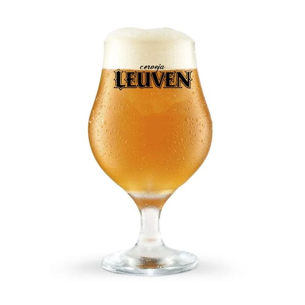 Taça Leuven