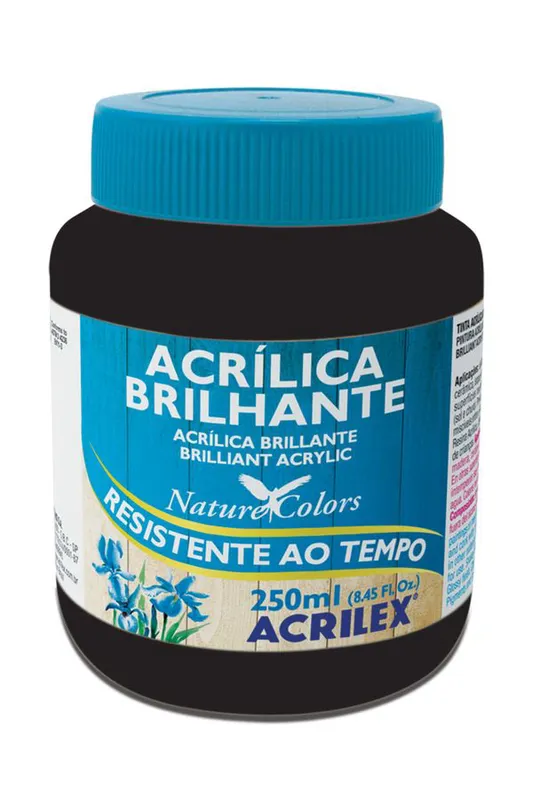 Tinta Acrílica Brilhante 250ml Preto