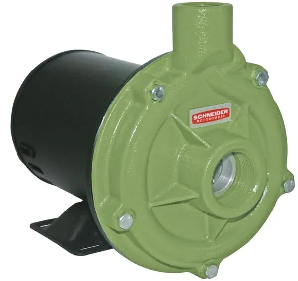 Motobomba 1,50 Cv. Bc-92S 1C Mono 127/220V Centrif 1.1/2" X 1" 87100421-00 - Scheneider