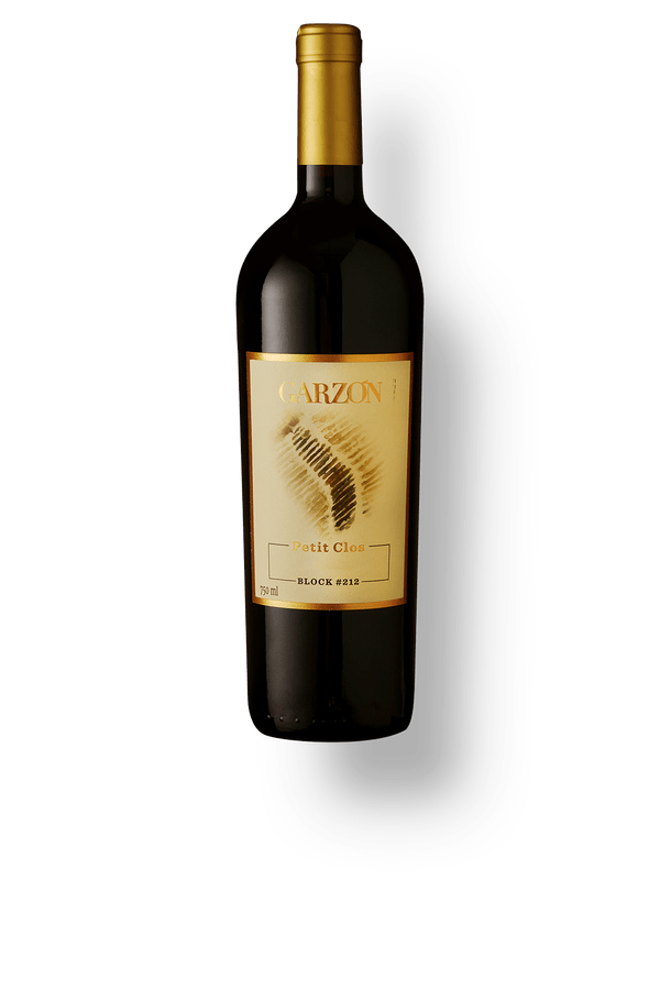 Garzón Petit Clos Block 212 Tannat