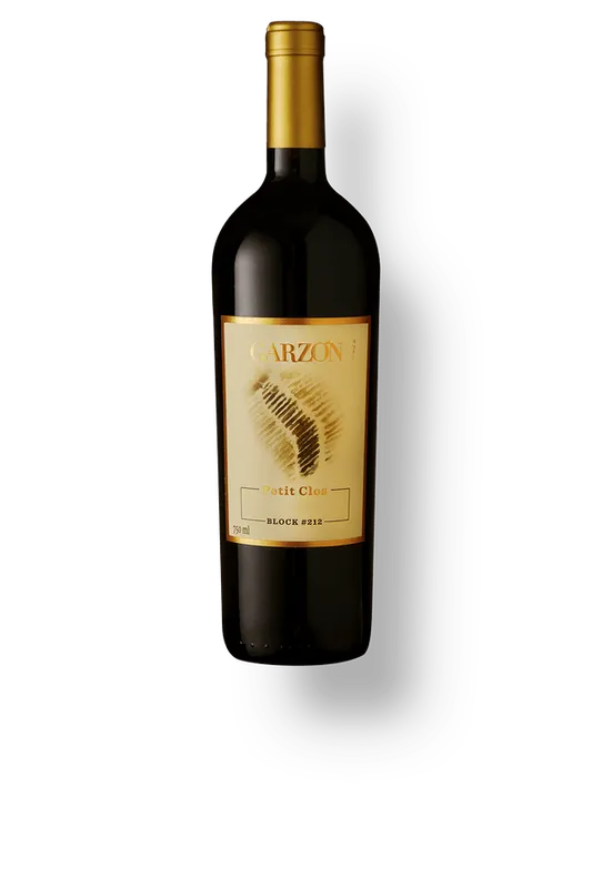 Garzón Petit Clos Block 212 Tannat