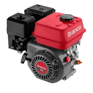 Motor Estacionário A Gasolina Branco Partida Manual 5,5 Cv B4t-5.5h (MP)